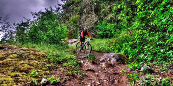 pemberton-mountain-biking-events